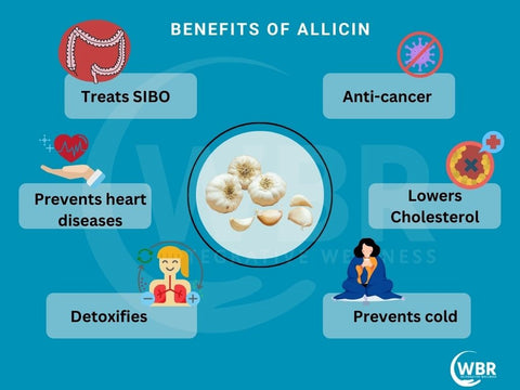 Allicin For Treating SIBO and Constipation Benefits of Allicin