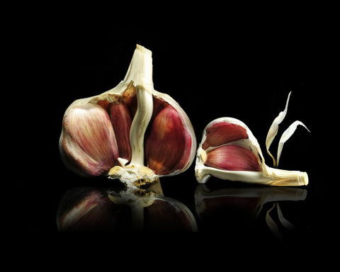 Nurturing Pregnancy Health with Garlic Supplements
