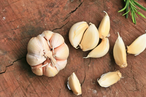 A garlic bulb surrounded by cloves, illustrating the natural source of allicin, a potent compound for combating colds and flu.
