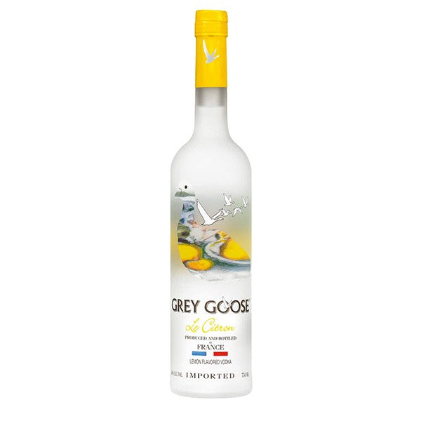 Grey Goose Northern Lights Edition Luminous Vodka 1L