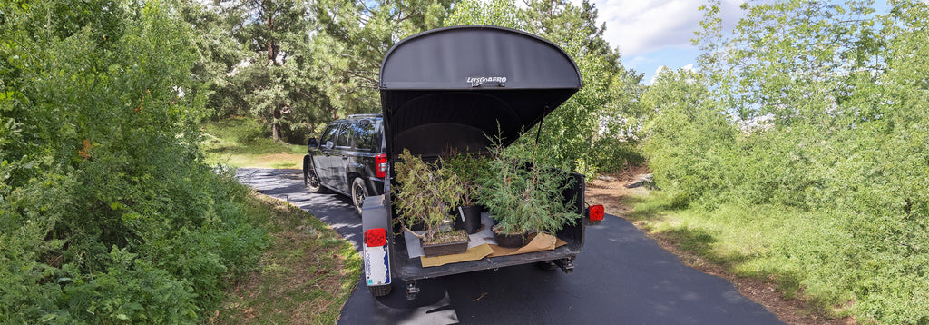 Enclosed Trailer with Trees Inside