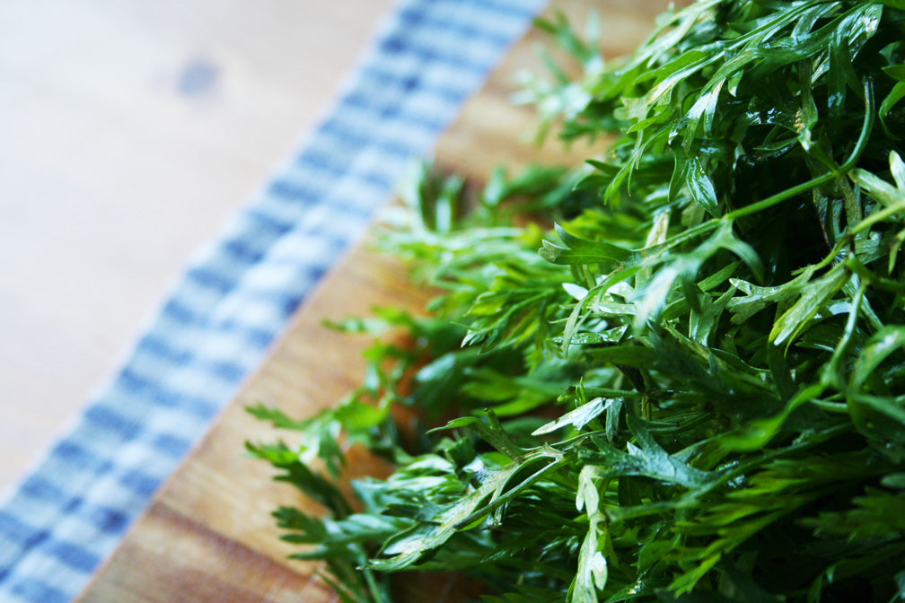 carrot_top_leaves_2