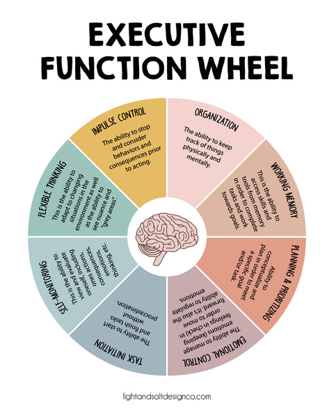 Executive function wheel