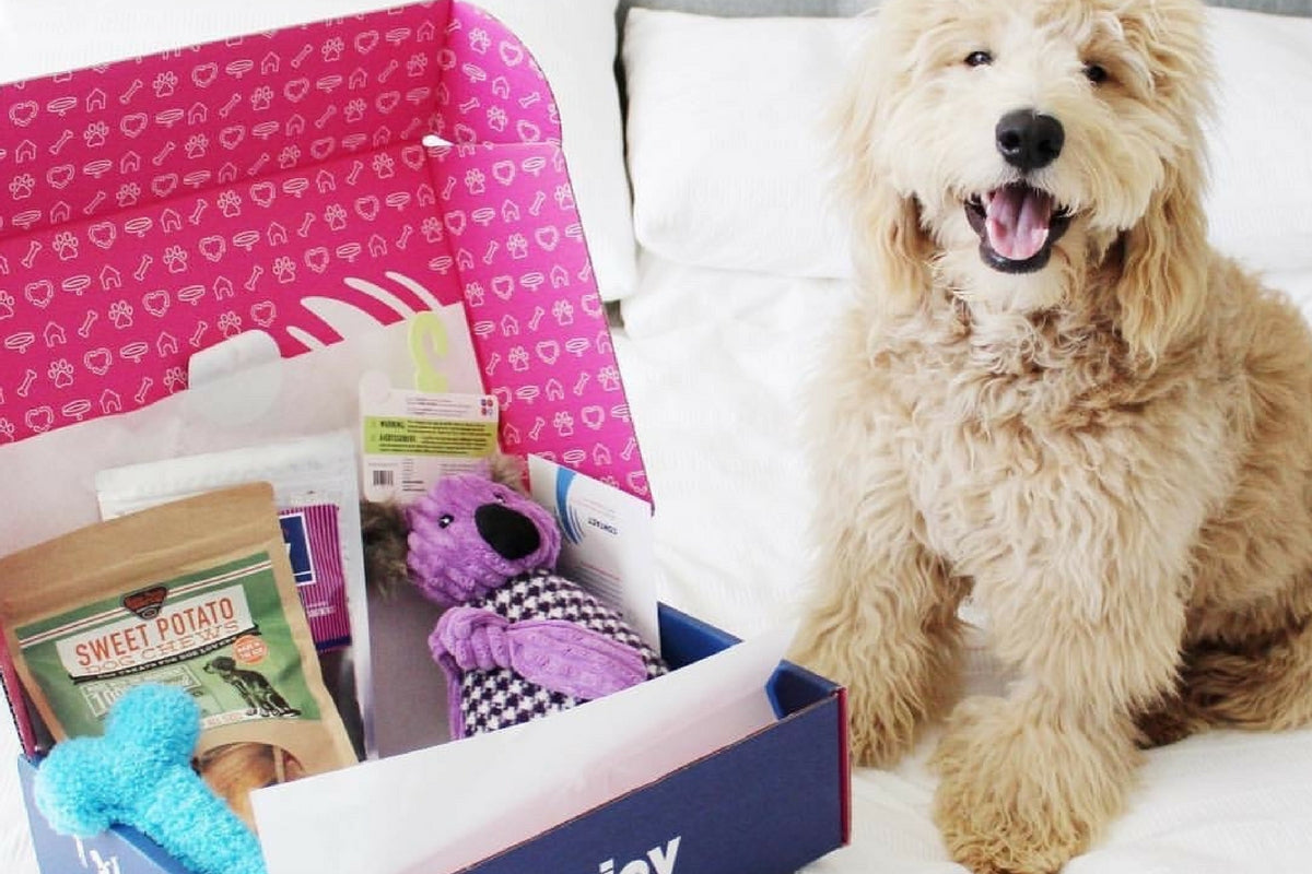 Puppy Gift Box - Woofbox - Gift Boxes and Monthly Subscriptions