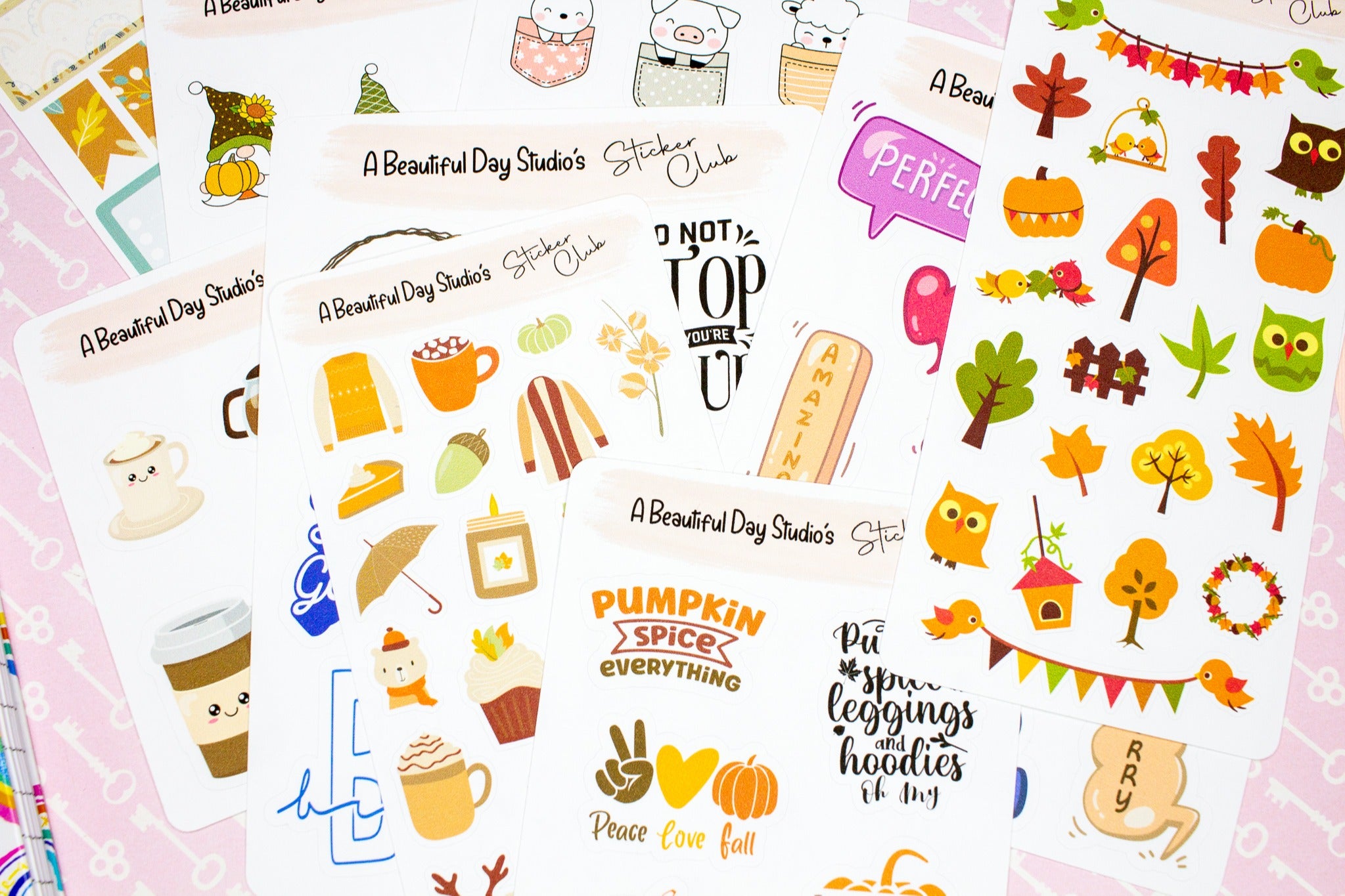 Functional Planner Sticker Kit for Planners - Calendars, Happy Planner -  Cratejoy
