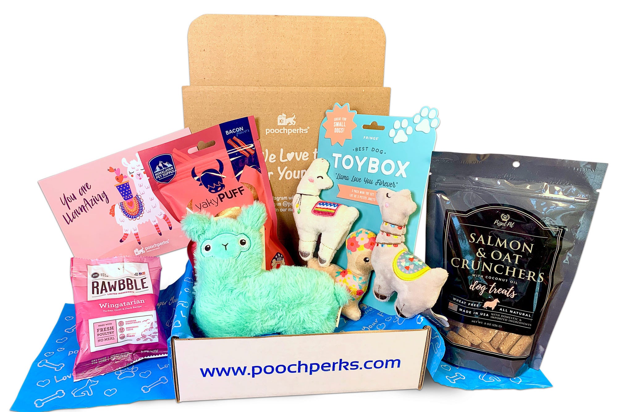 New Puppy Welcome Home Dog Gift Box (Boy or Girl) » Pampered Paw Gifts