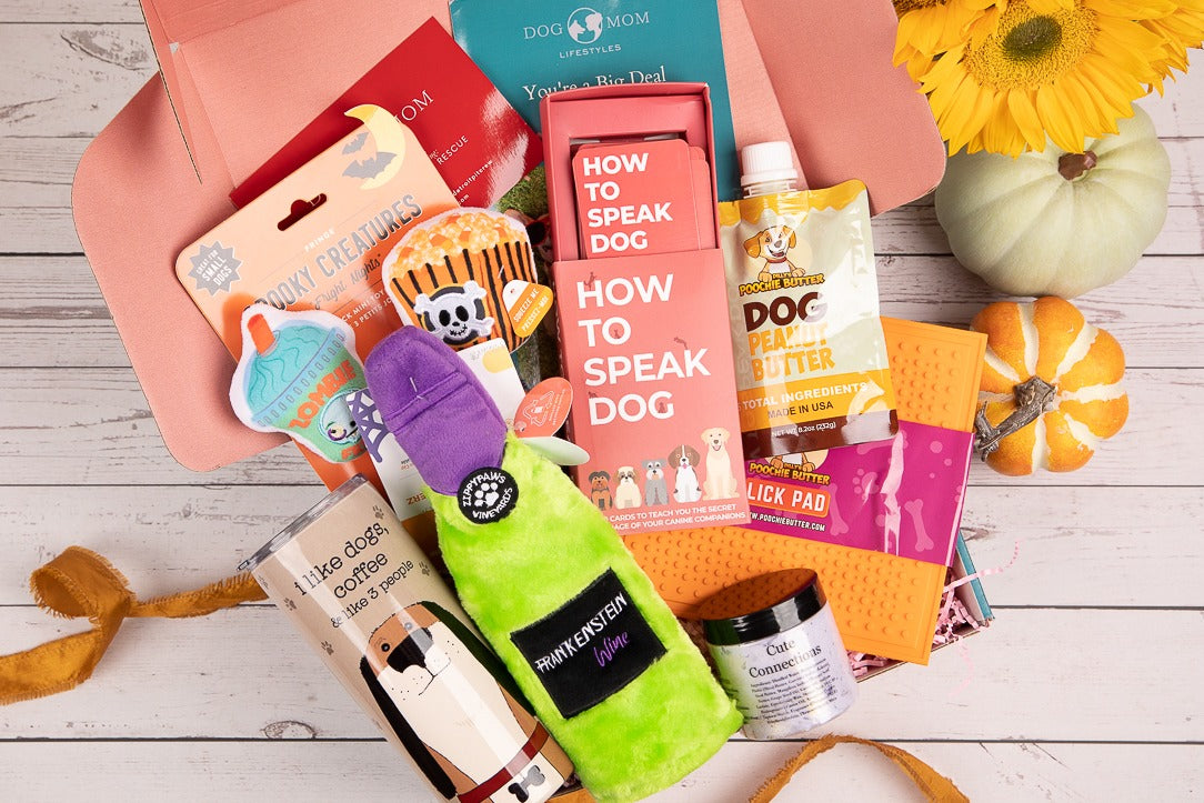 10 Things To Put In A Welcome To The Family New Dog Gift Basket