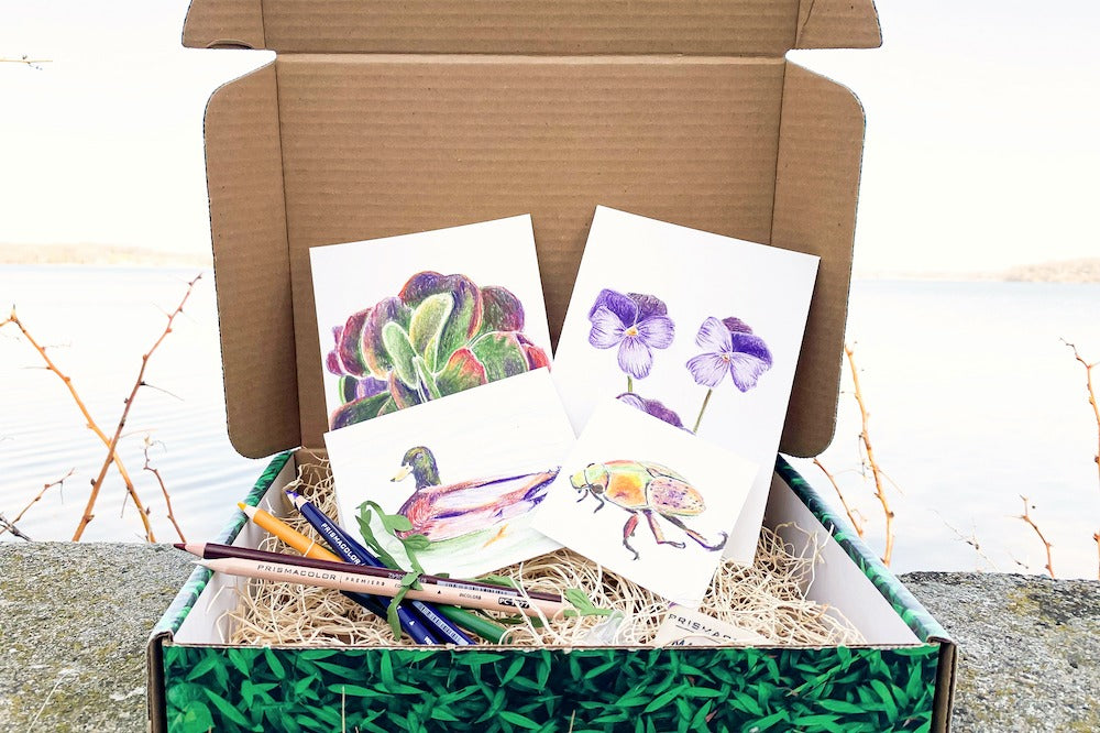 12 Months of Kids Art Boxes - Family Size – Outside The Box Creation