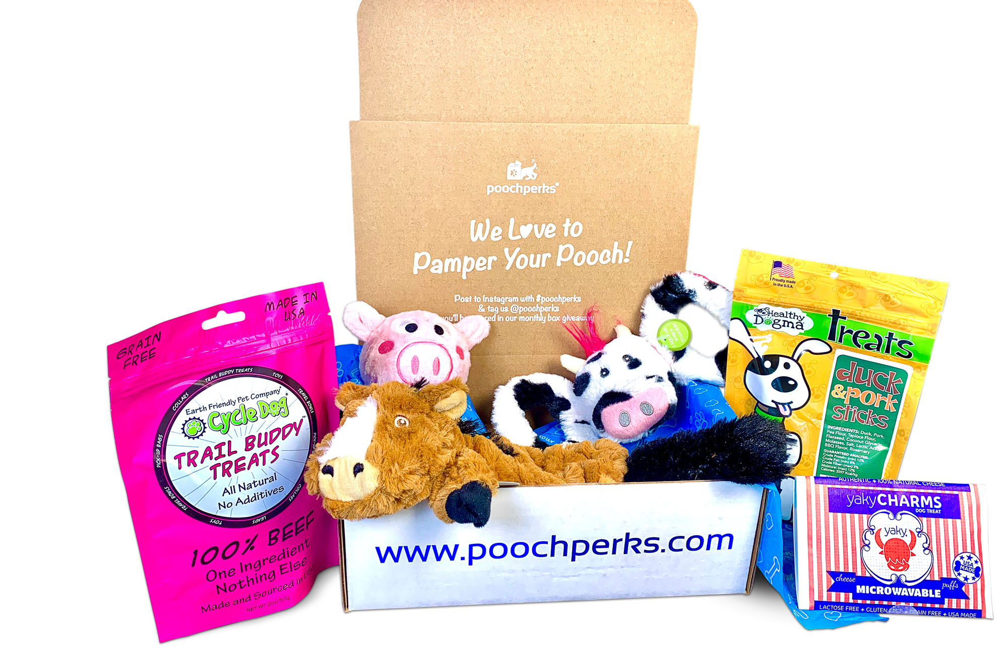 New Puppy Welcome Home Gift Box » Pampered Paw Gifts