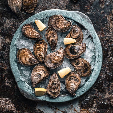 ABRE OSTRAS, OUVRIR HUÎTRES, OYSTER OPENER, APRI OSTRICHE, OPSTER APARELHO  