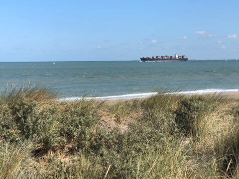 coastline at Nieuwvliet-Bad near Antwerp. picture shows a big container boat in the distance. dune landscape in front of the ocean.