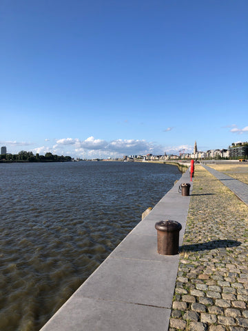 the river Scheldt in Antwerp