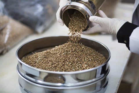 processing dried grains