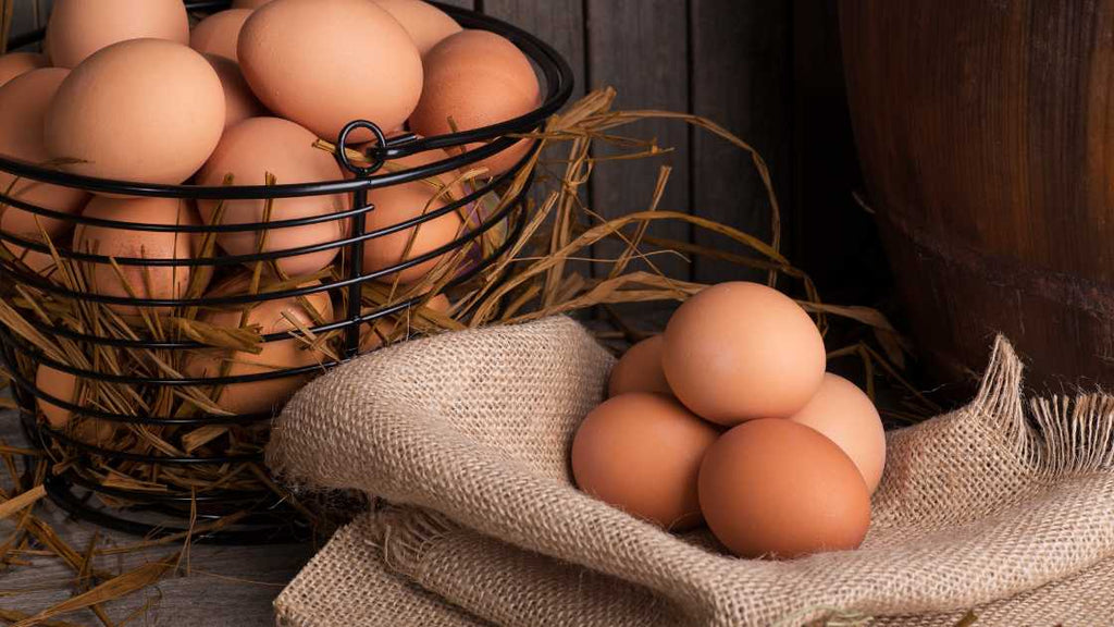 Eczema diet eggs