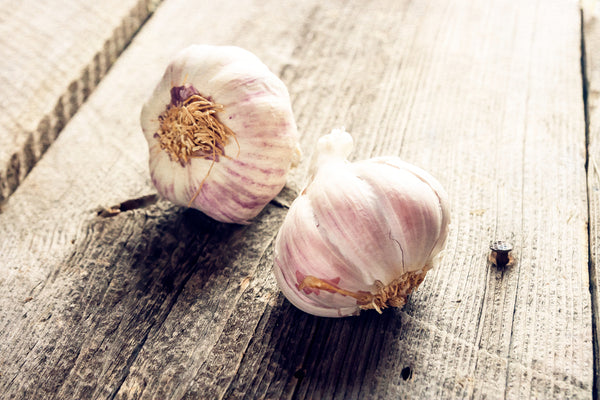 Does garlic boost the immune system?