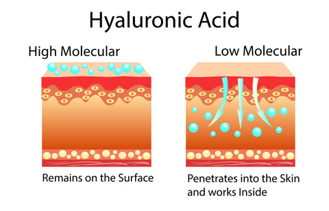 Hyaluronic Acid Molecular Weight