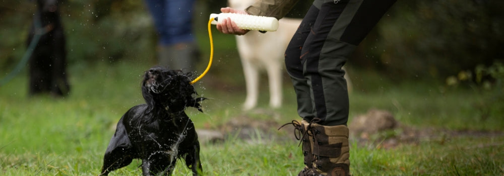 black spaniel shakes after delivering dummy to hand