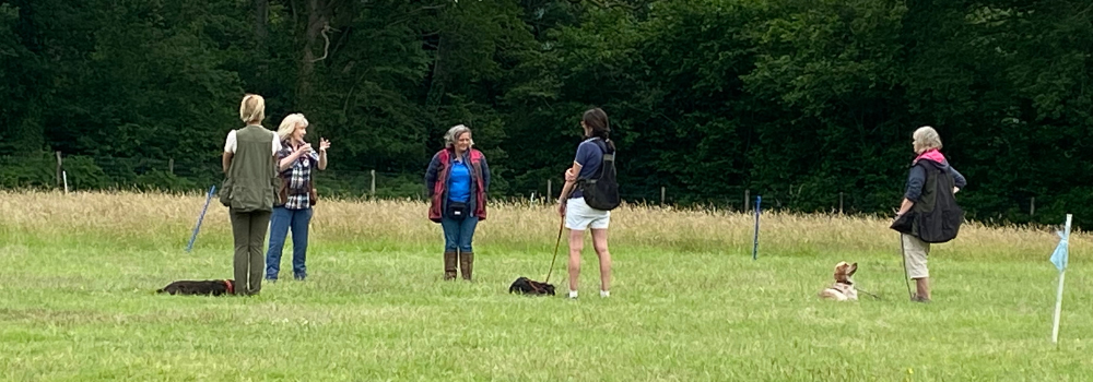 A group gundog training class in Haslemere, Surrey taught by Jules Morgan