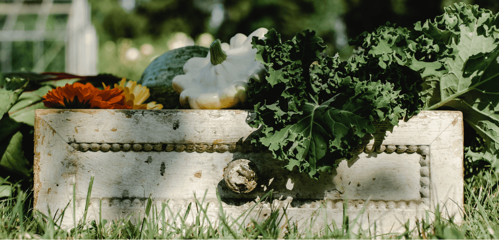 Potager en Hivers