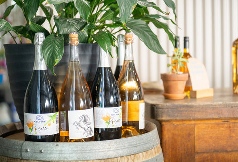 Seasonal Wines from Hunter Valley: Best Picks for Each Season