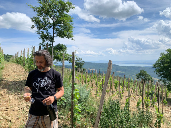 Stefano Amerighi in his vineyards in Cortona, Tuscany