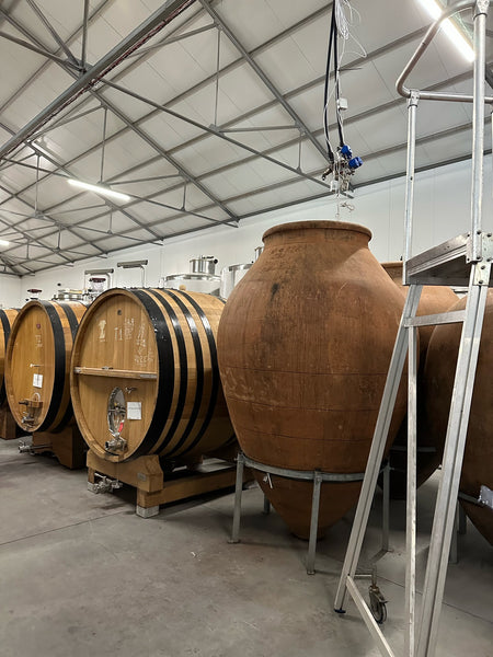 Barrels and amphora in Textura's Dão facility