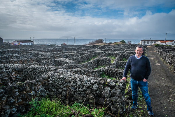 Paulo Machado in his vineyard