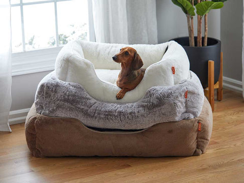 FÜZI PETS OFFICIAL - Dog Beds and Pet Accessories