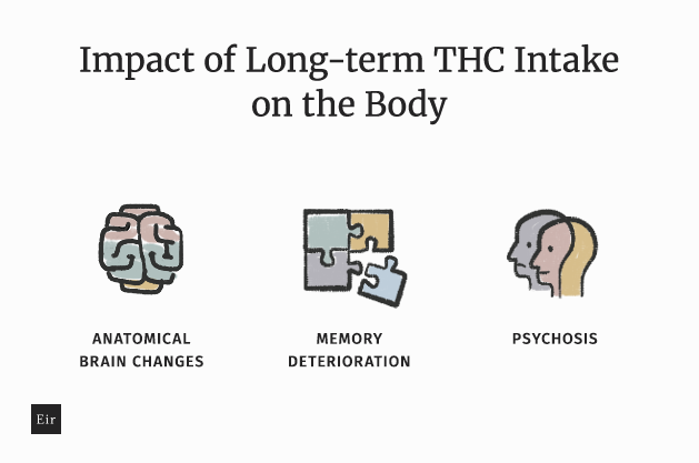 Dopad dlouhého příjmu THC