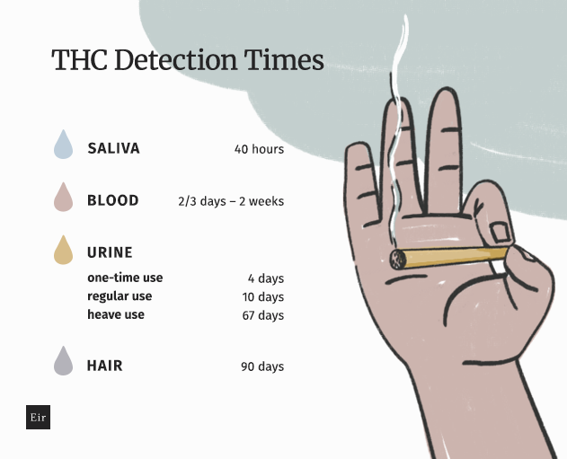 THC detection time