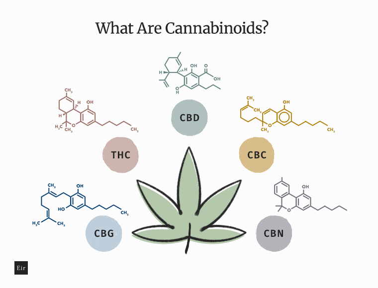 Different cannabinoids