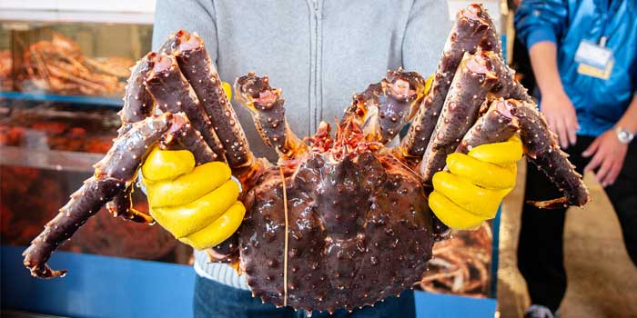 King crab season