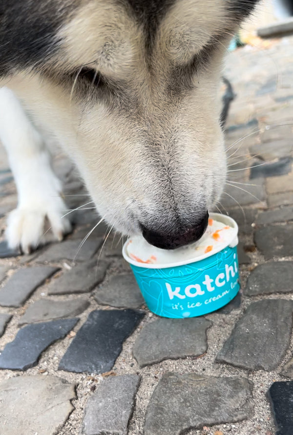 Katchi Dog Ice Cream - Malamute.jpg__PID:dfb66d72-bea2-4d81-9527-81334389de9c