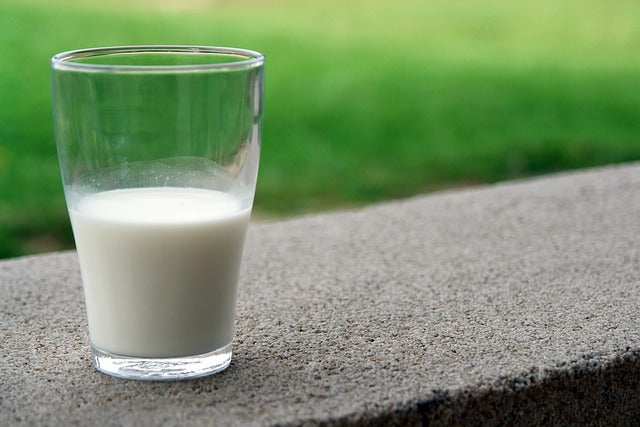 Milch enthält Laktose und kann daher von Menschen, denen Laktase fehlt, nicht abgebaut werden.