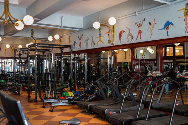 TRUEFORM.™ provides the ideal equipment for hotel get-on-and-go clients as well as gymnasium members who want to focus on form and longevity.
