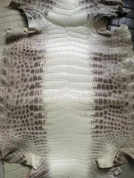 Alligator Materials for Watch Straps, premium grade alligator materials in grey and white combination