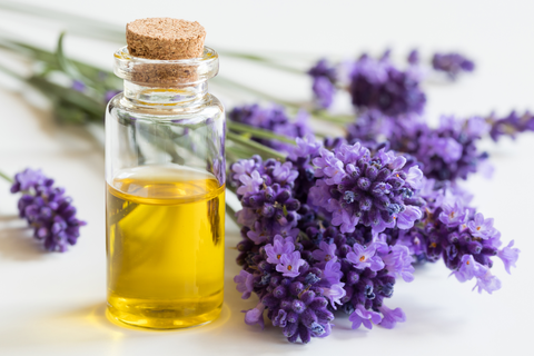 Natural remedy lavender health benefits