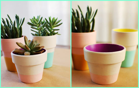 Photos of Color Block Terra Cotta Pots DIY 