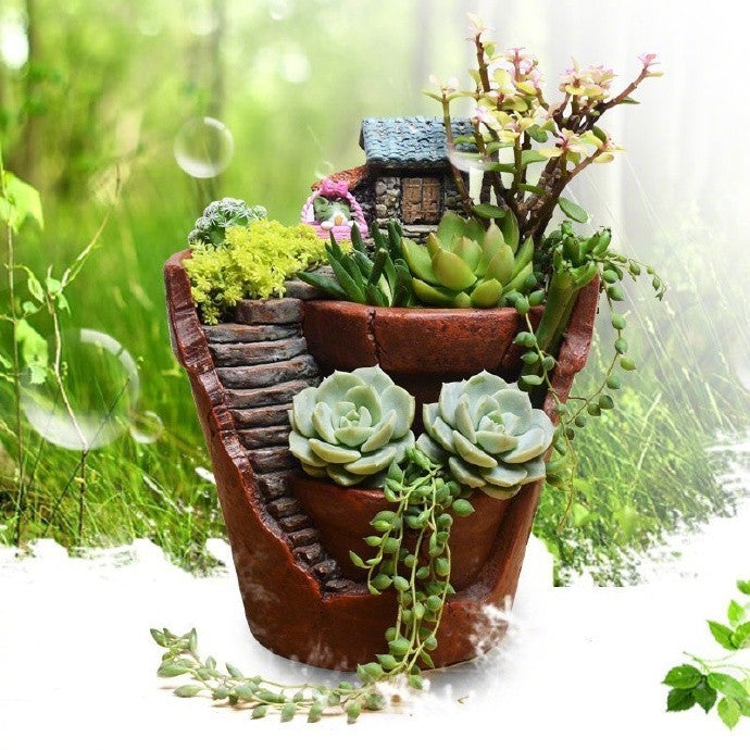 Succulent Plant-3