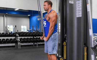 Triceps extension muscle