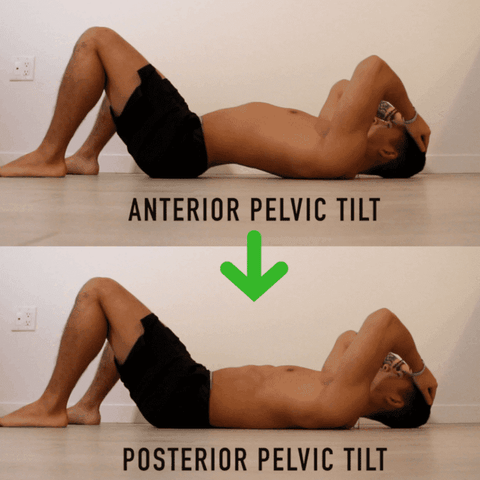 anterior pelvic tilt exercice