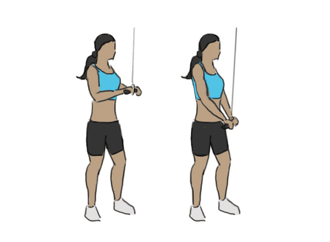 triceps extension cable