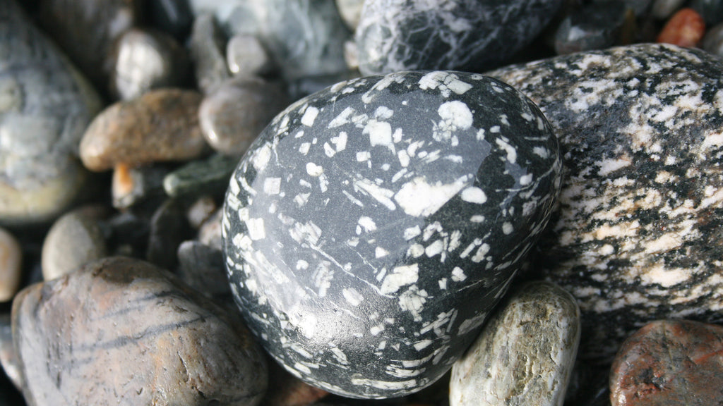 Basalt pebble, Lizard Peninsula, West Conrwall