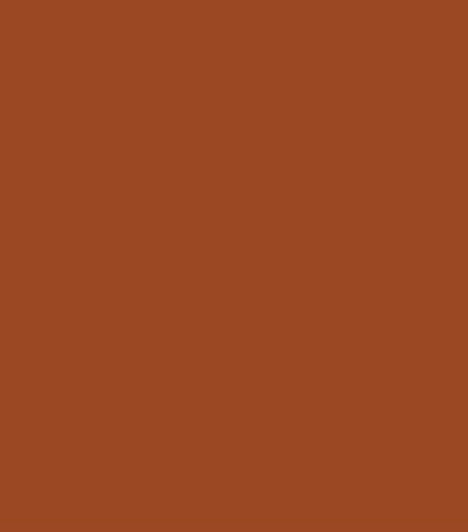 Terracotta Swatch