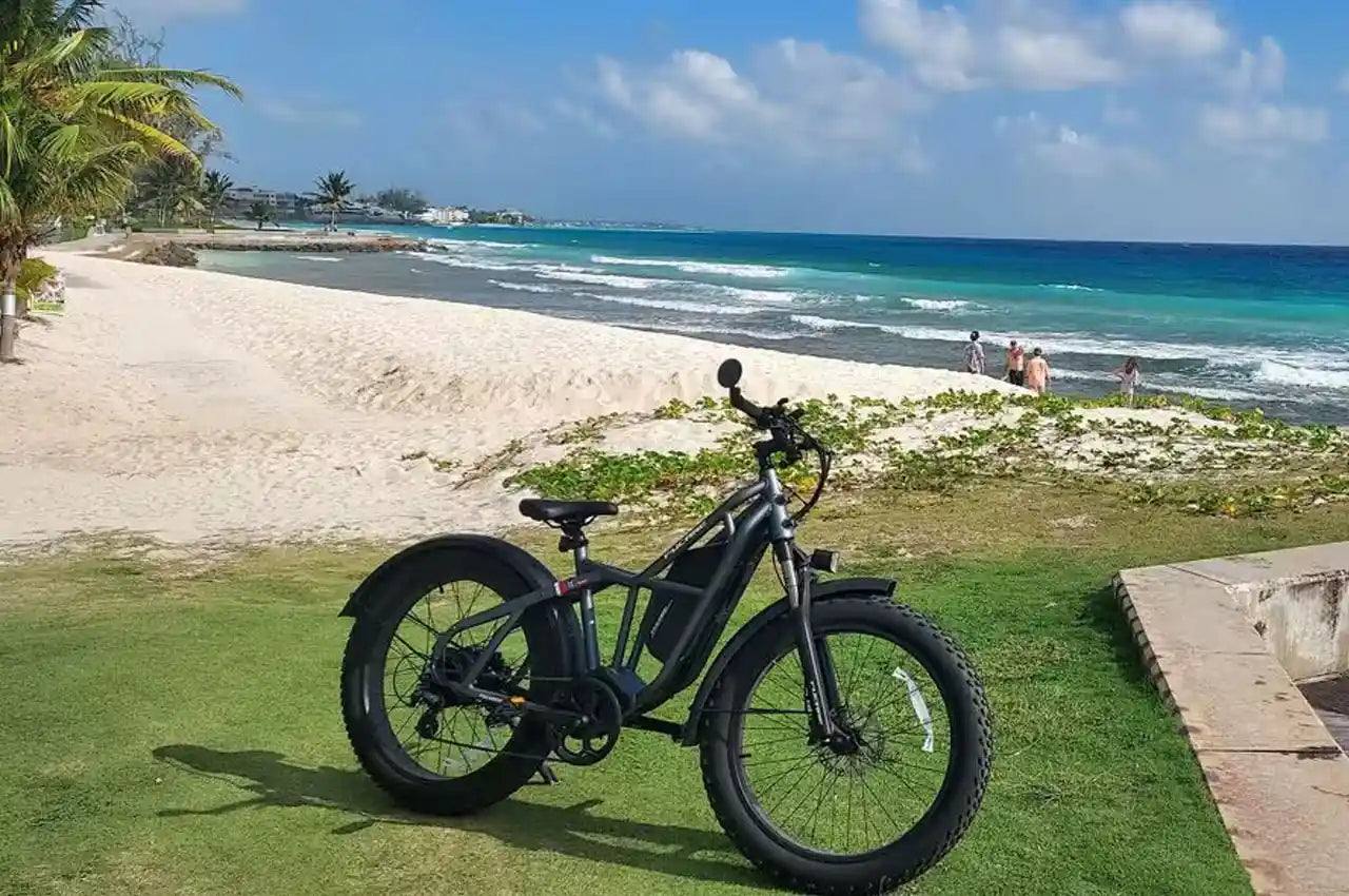 E-bikes Are Environmentally-friendly