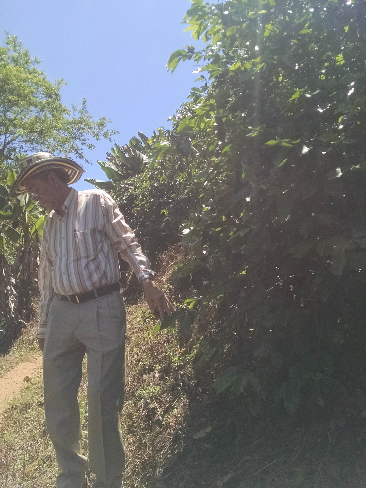 Costa Rica Coffee Farmer