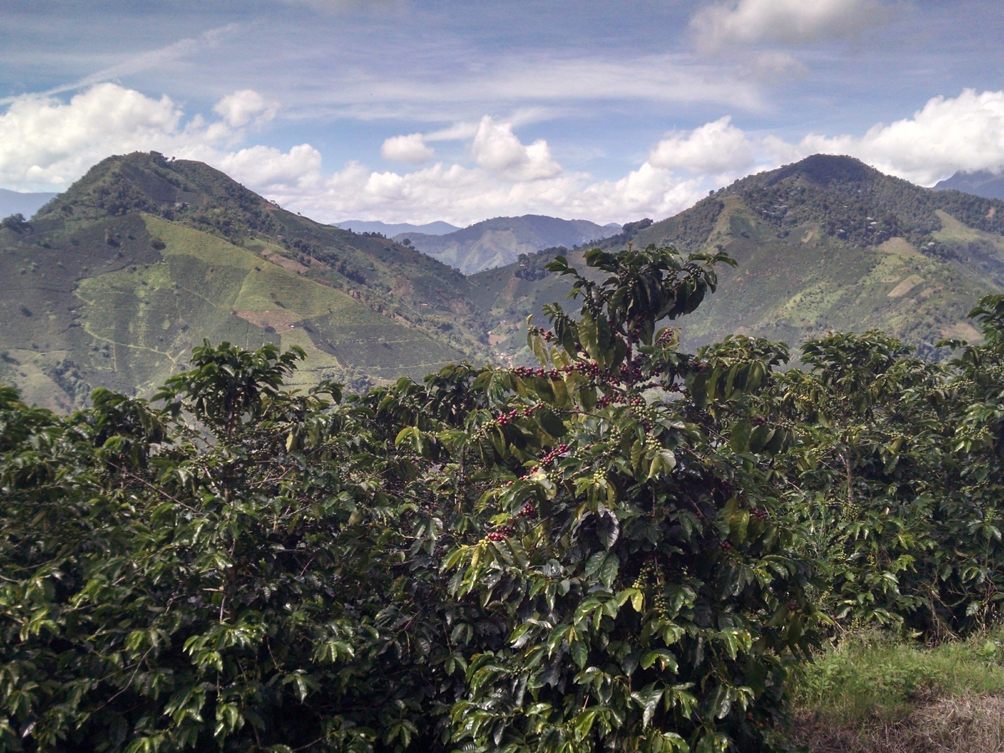 Costa Rican Mountains