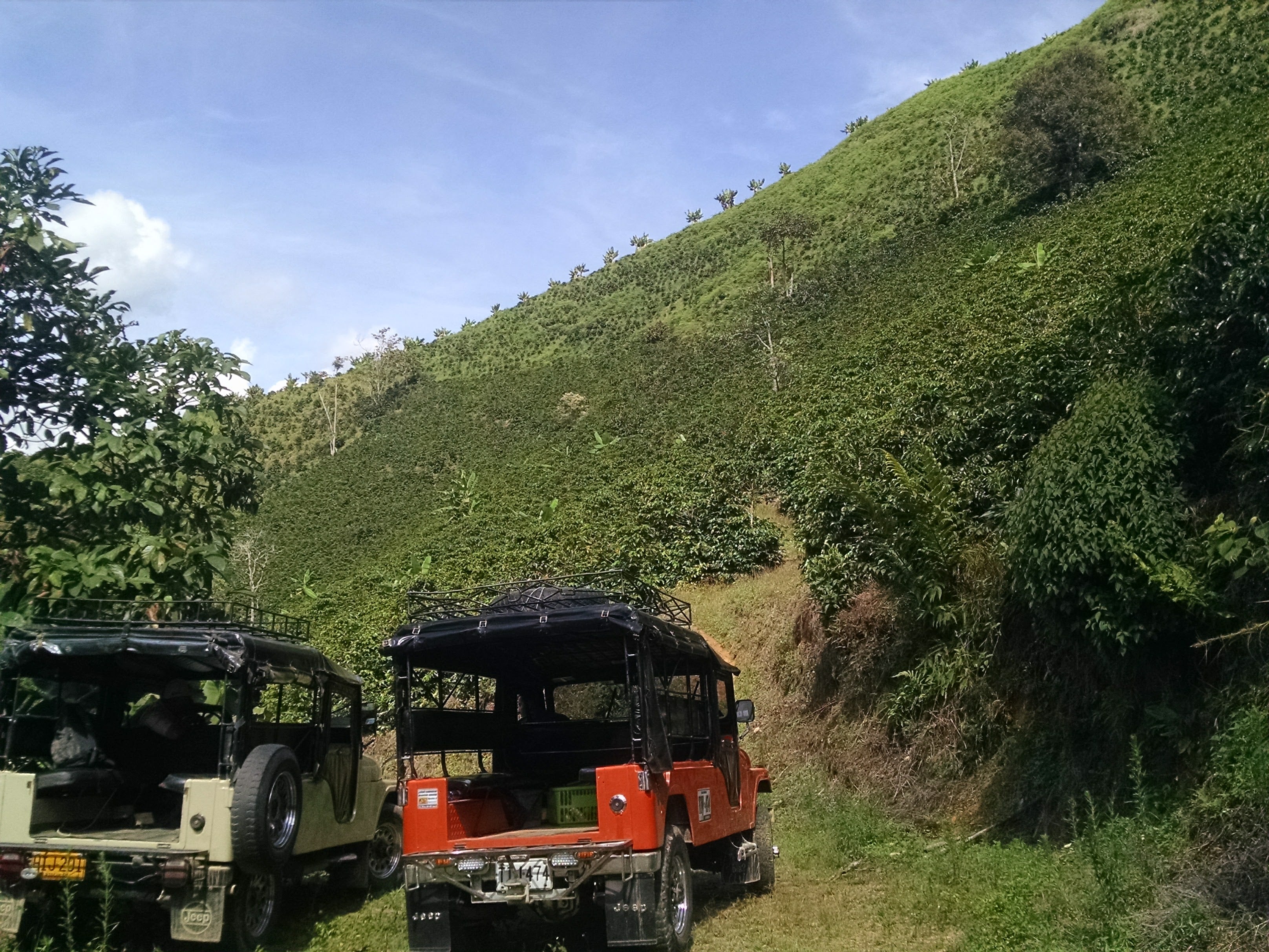 La Arboleda coffee farm in Colombia
