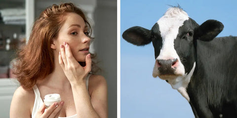 where-to-buy-the-original-beef-tallow-balm-moisturiser