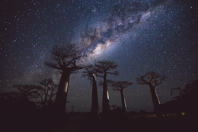 Hello Madagascar
